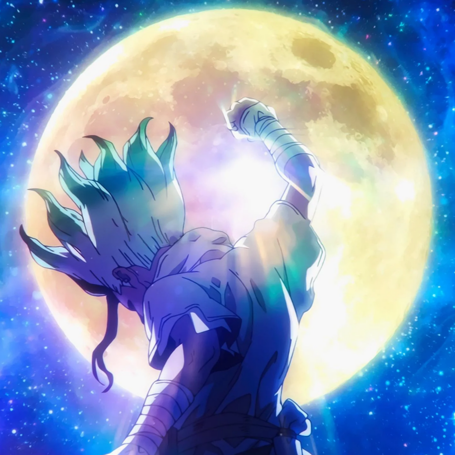 DR STONE