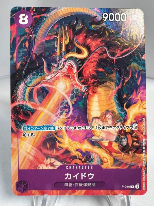 [P-010] Kaido