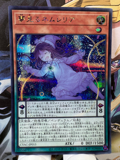 CYAC-JP015 Dreaming Nemleria | Secret Japanese