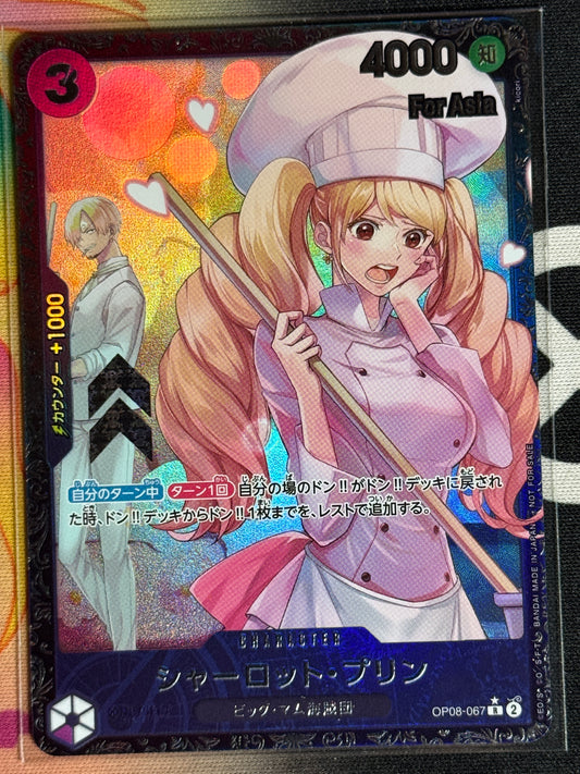 [FLAGSHIP] Charlotte Pudding - Scellé - For Asia
