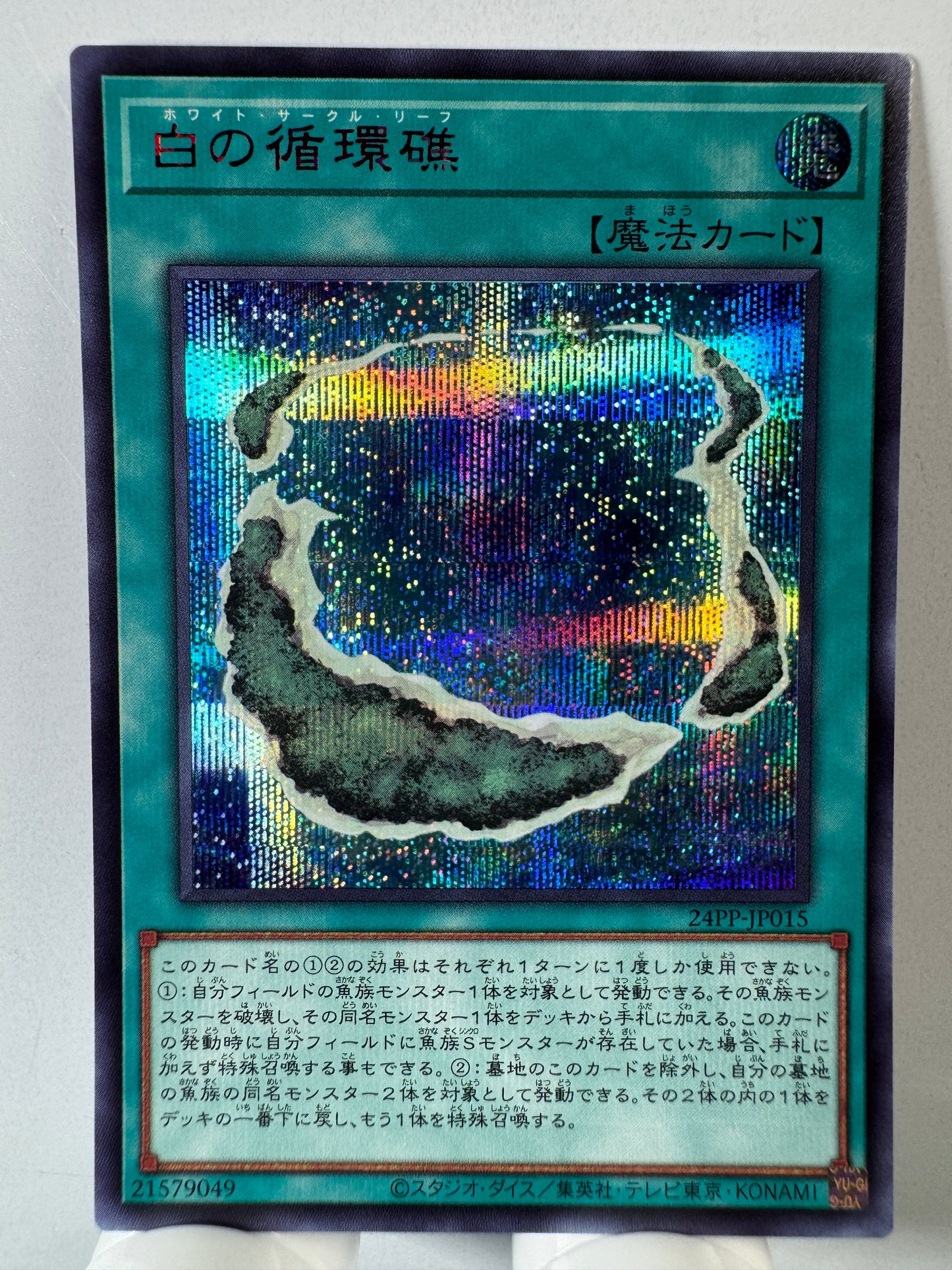 24PP-JP015 White Circle Reef | Secret Red Japanese