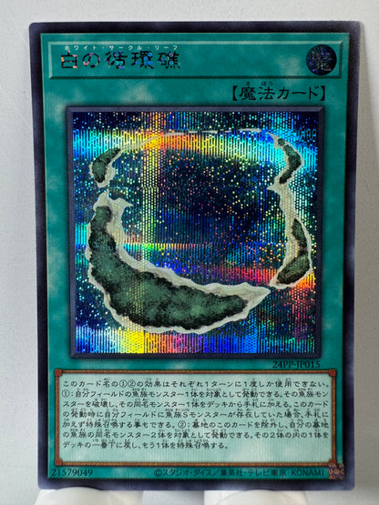 24PP-JP015 White Circle Reef | Secret Japanese